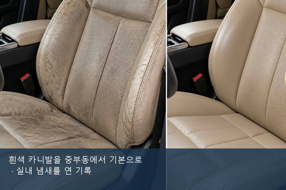 흰색 카니발을 중부동에서 기본으로 · 실내 냄새를 연 기록